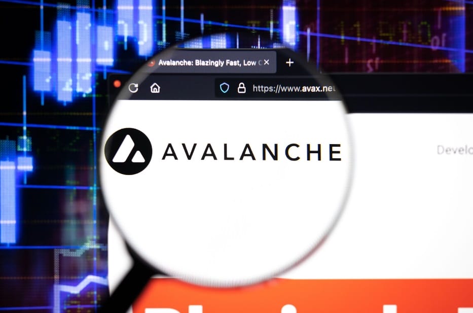 Avalanche and Chainlink Investors Pivot Towards Borroe Finance’s Presale